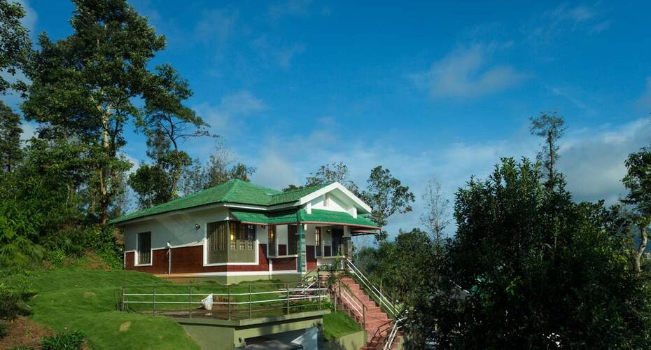Morning Mist, Wayanad 1